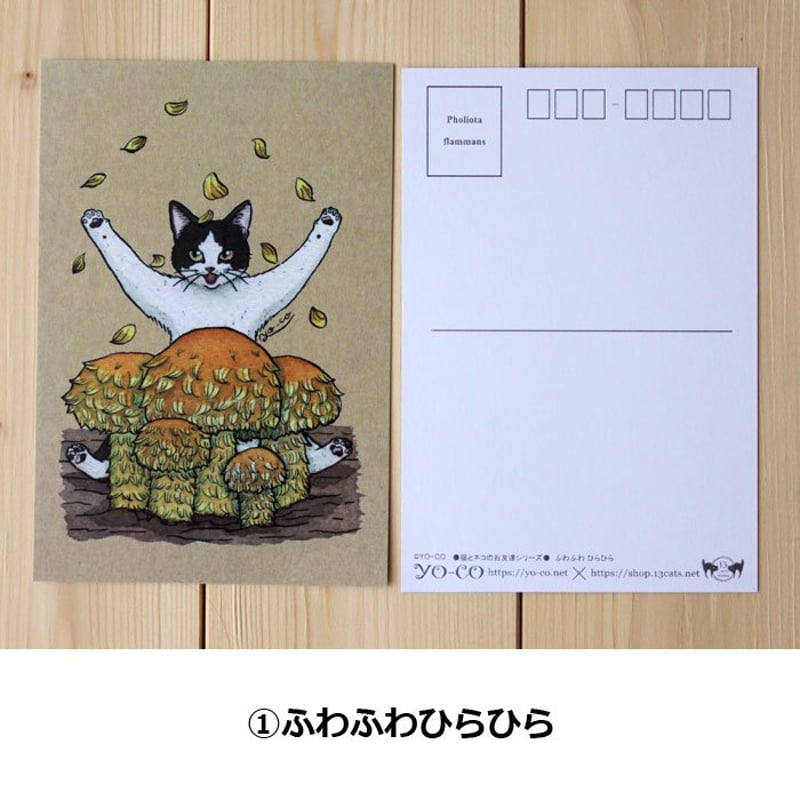 猫のひたいほどワイド グッズ 特典ミニフォトカード 猫のひたいほどワイド グッズ 特典ミニフォトカード 本物の 猫の