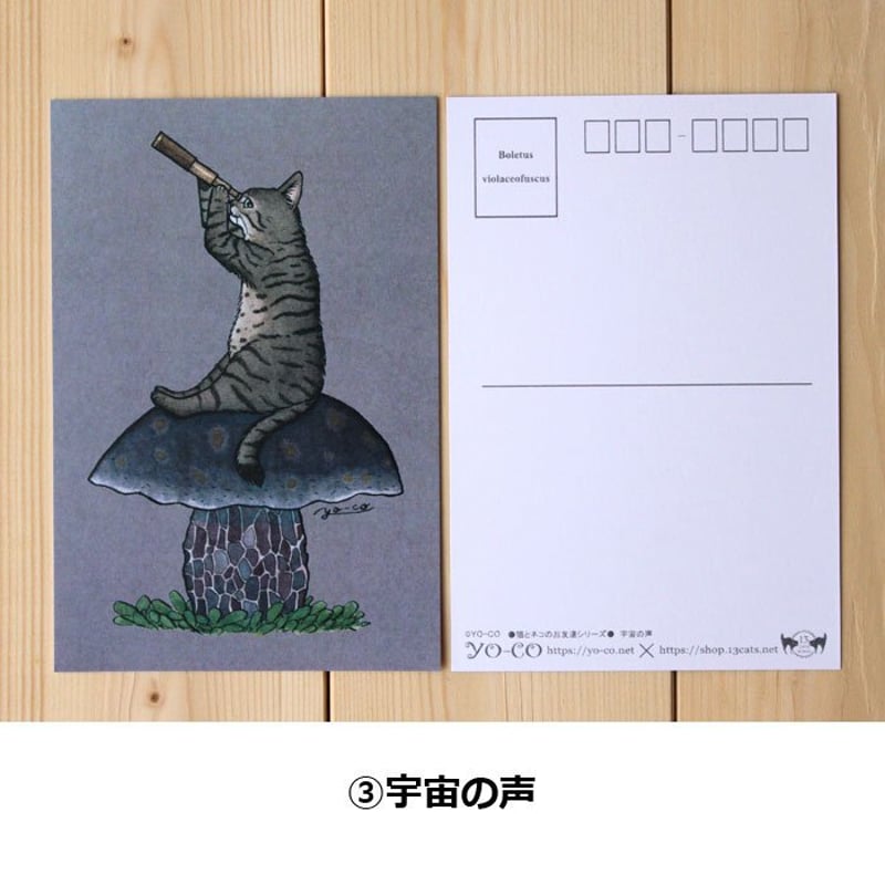 ○猫とネコのお友達3○ ポストカード | 13.CATS.WORKS