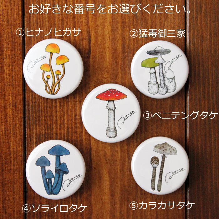 きのこ帝国　CD/サイン/缶バッチ等 きのこ帝国 CD/サイン/缶バッチ等