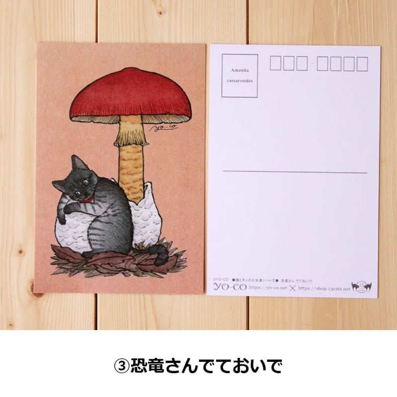 ○猫とネコのお友達5○ ポストカード | 13.CATS.WORKS