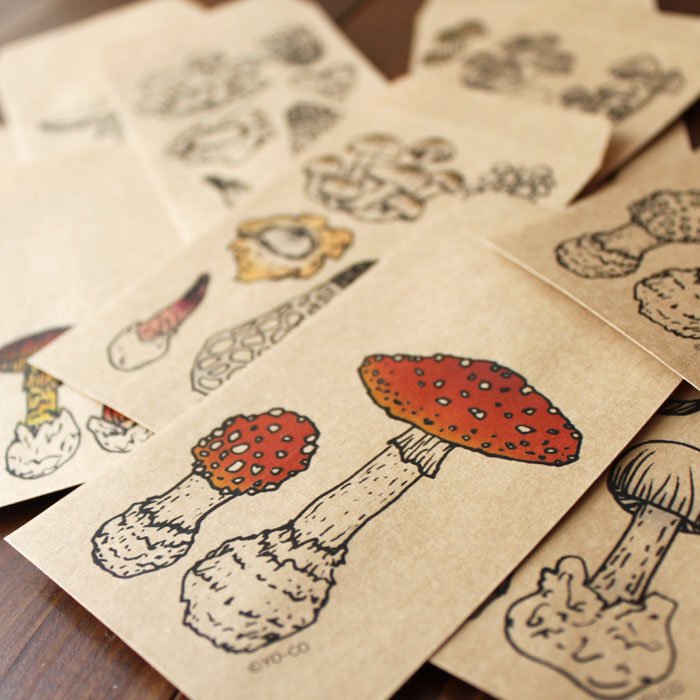 きのこ　1113 きのこ修行も終盤なのかな 2025 | cowbell123のブログ