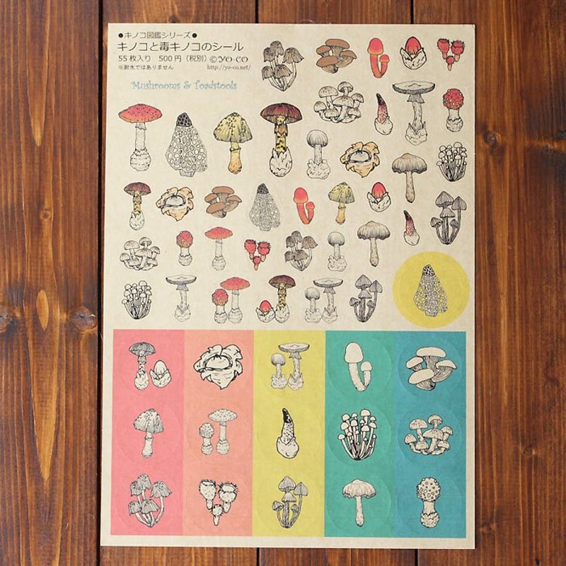 ○キノコ図鑑シリーズ○ キノコと毒キノコのシール | 13.CATS.WORKS ○キノコ図鑑シリーズ○ キノコと毒キノコのシール | 13.CATS.WORKS