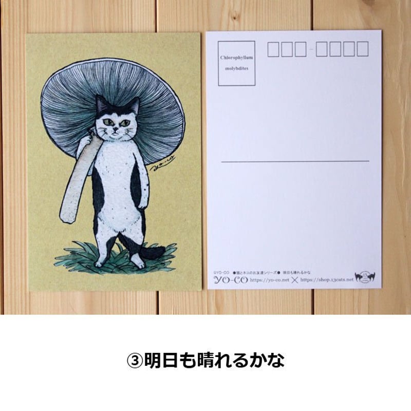 ○猫とネコのお友達2○ ポストカード | 13.CATS.WORKS