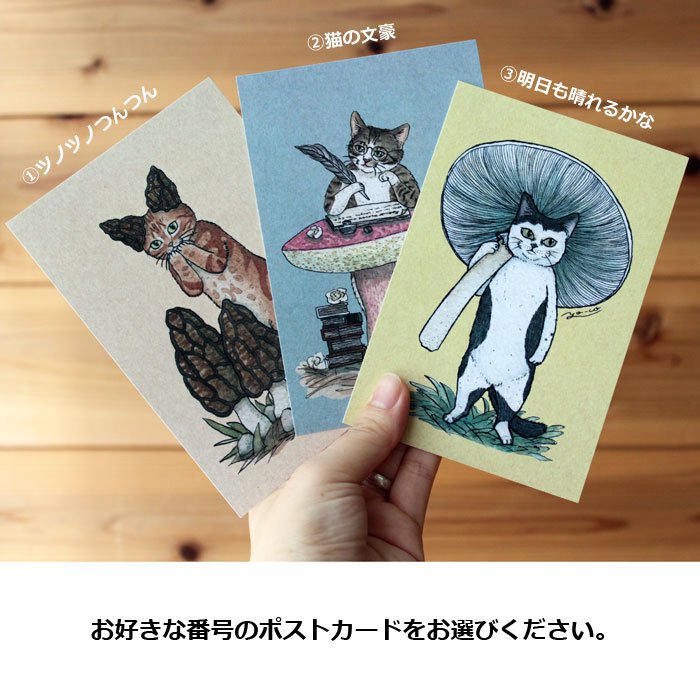 ねこパンツくん　　ポストカード ○猫とネコのお友達2○ ポストカード | 13.CATS.WORKS