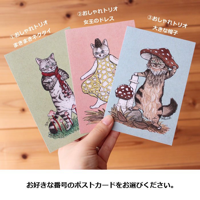 ○猫とネコのお友達6○おしゃれトリオ ポストカード | 13.CATS.WORKS