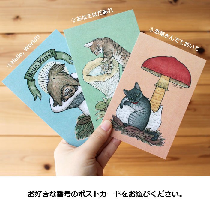 ○猫とネコのお友達5○ ポストカード | 13.CATS.WORKS