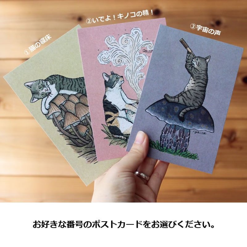 猫の洋書他3冊セット 猫の洋書他3冊セット 2025年
