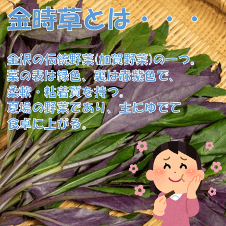 【棒麩】金時草麩