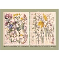 【デジタルコンテンツ】illustration vintage flower ヴィンテージなフラワーのイラスト