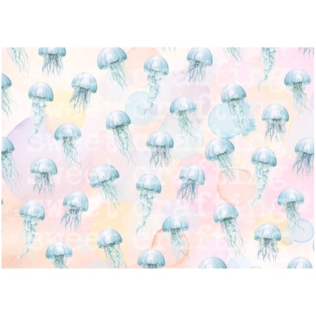 【デジタルコンテンツ】pape jellyfish クラゲのペーパー