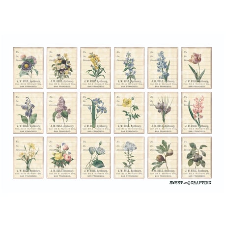 【デジタルコンテンツ】label botanical ボタニカルなラベル