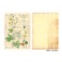【デジタルコンテンツ】collage book vintage flower ヴィンテージなフラワーのコラージュブック
