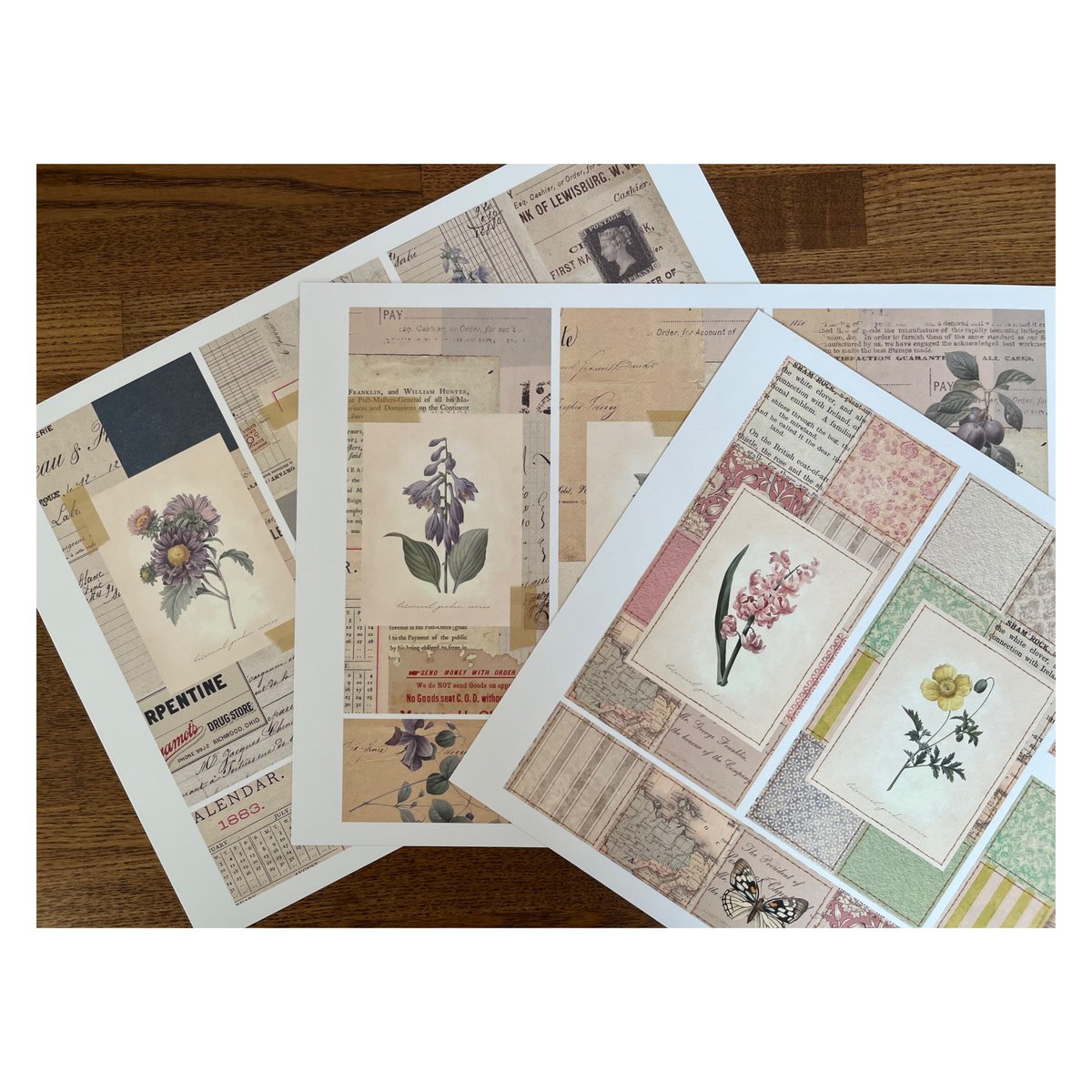 印刷物】collage sheet botanical ボタニカルなコラージュシート