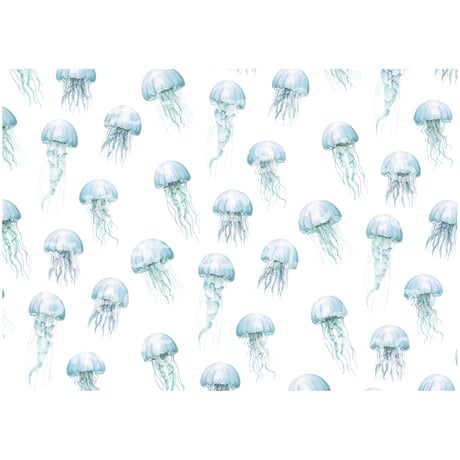 【デジタルコンテンツ】pape jellyfish クラゲのペーパー