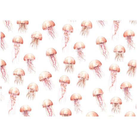 【デジタルコンテンツ】pape jellyfish クラゲのペーパー