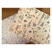 【印刷物】paper botanical ボタニカルなペーパー