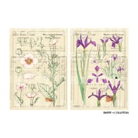 【デジタルコンテンツ】check vintage flower ヴィンテージな花の伝票