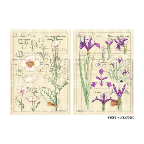 【デジタルコンテンツ】check vintage flower ヴィンテージな花の伝票