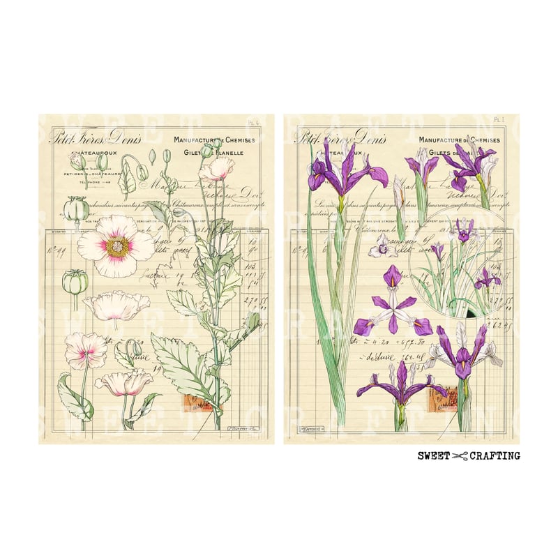 hana.y様確認用 デジタルコンテンツ】check vintage flower ヴィンテージな花の