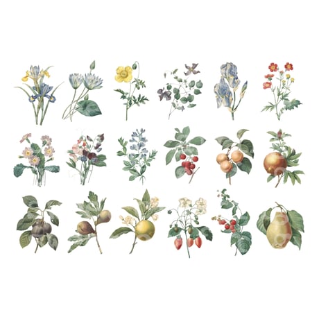 【デジタルコンテンツ】label botanical ボタニカルなラベル