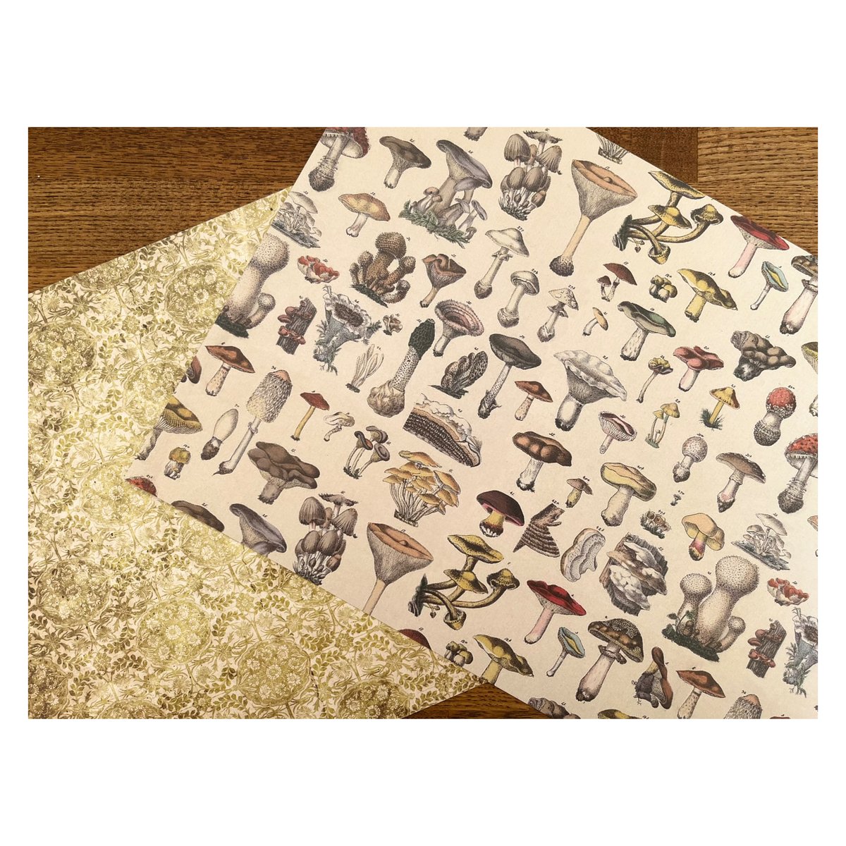 【印刷物】paper mushroom きのこのペーパー | Sweet Crafting