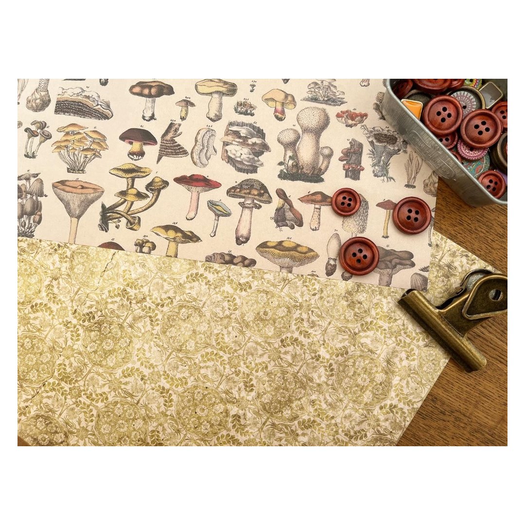 【印刷物】paper mushroom きのこのペーパー | Sweet Crafting