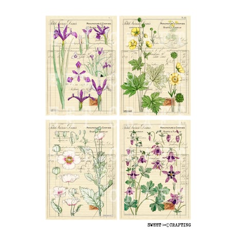 【デジタルコンテンツ】check vintage flower ヴィンテージな花の伝票