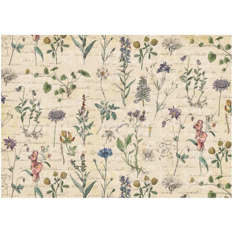 【デジタルコンテンツ】paper botanical and mushroom ボタニカルなペーパーときのこのペーパー