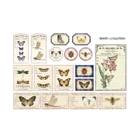【デジタルコンテンツ】label insect 昆虫のラベル