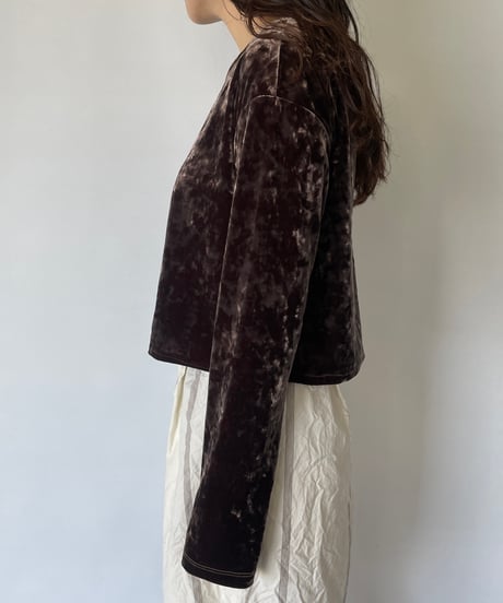 Vintage Velour Tops