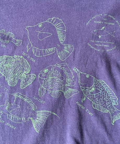 80s HIMB（ハワイ大学海洋生物研究所）