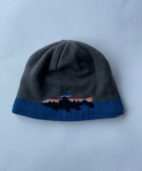 11s patagonia trout beanie