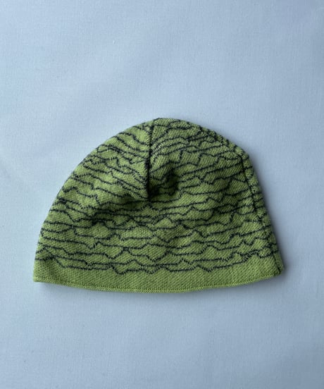 05s patagonia beanie