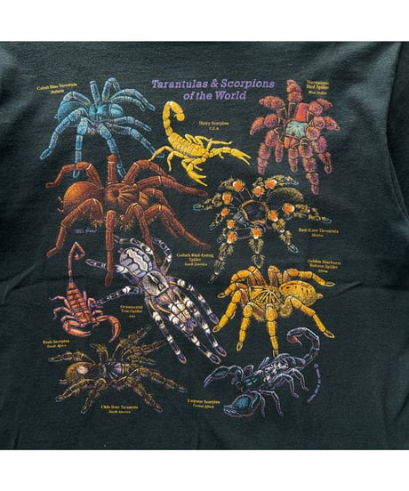 00s TRANTULA SCORPION Tee