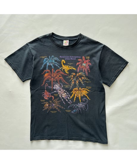 00s TRANTULA SCORPION Tee
