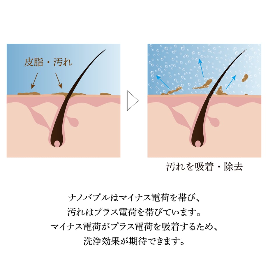 668ca7561b359a002bf9f6f0