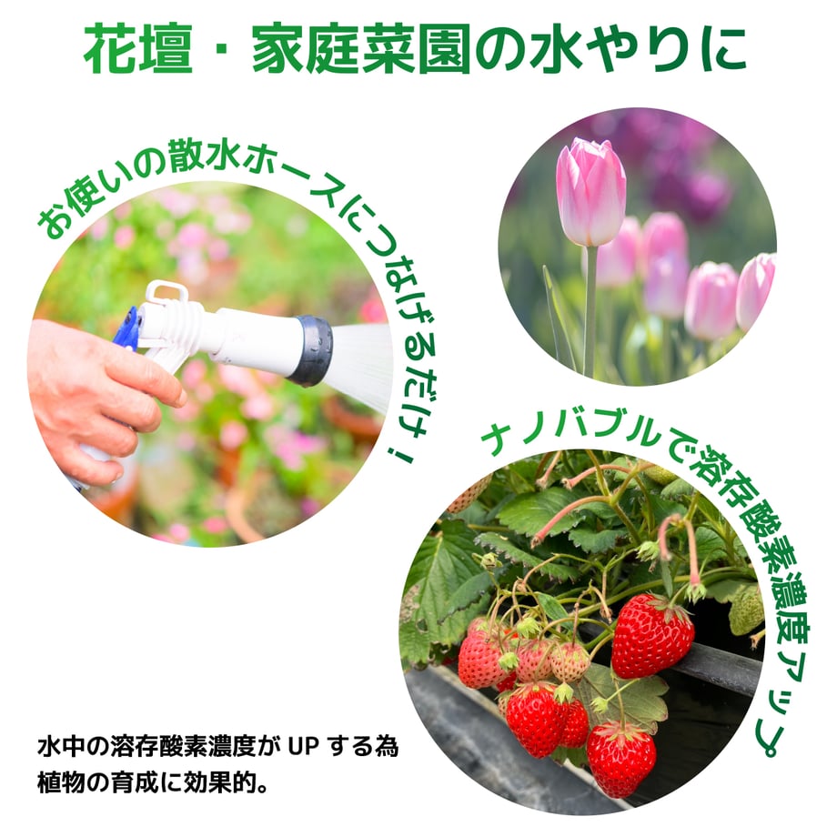 65b9f45010a49201abb7dbd3