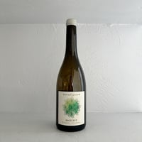 <WHITE> Face Est 2024 / Manuel Girard