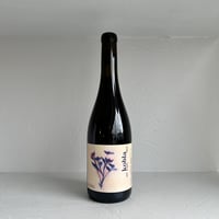 <RED> Kobla 2024 / Tailleurs Cueilleurs