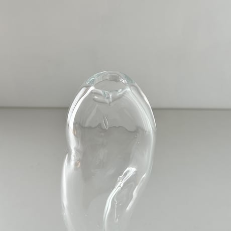 LAN vase radis (B)
