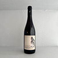 <RED> Pineau d’Aunis 2023 / La Cueillette des Oiseaux