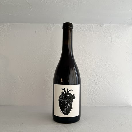 <RED> AMOUR VACHE 2024 / VIN NOE