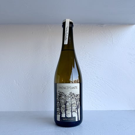 <SPARKLING,WHITE> Principiante 2022 / Vini Santa Colomba