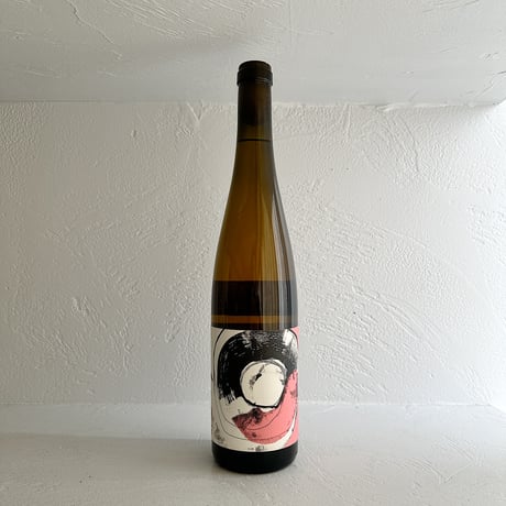 <ROSE> Rotburger Rose 2023 / Malinga