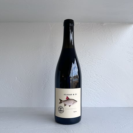<RED> Rouge De La 2022 / Domaine Delhomme & Co