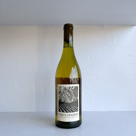 <WHITE> Force Celeste Chenin Blanc 2022 / Mother Rock Wines