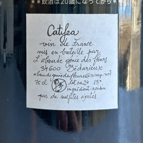 <RED> Catifea 2024 / L’Absurde Genie des Fleurs