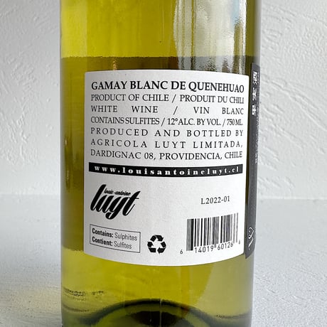 <WHITE> Gamay Blanc ‘21+’22 / Agricola Luyt Limitada