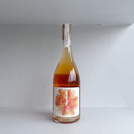 <ORANGE> Liquid Sunshine 2021 / Kristinus