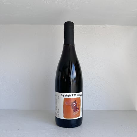 <RED> Touraine Le Vilain p’tit rouge 2021 / Vincent Ricard